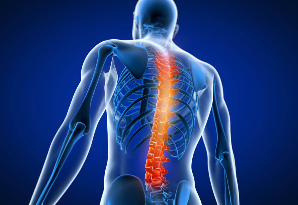 Spinal Injury Rehabilitation